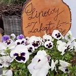 Apartment Lipowy Zakatek