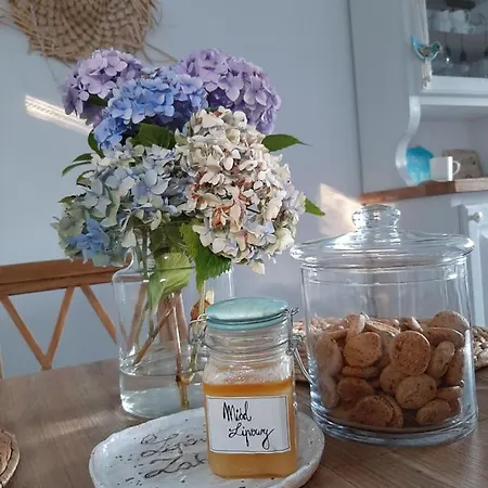 Lipowy Zakatek Apartment