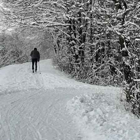 Apartment Lipowy Zakatek *