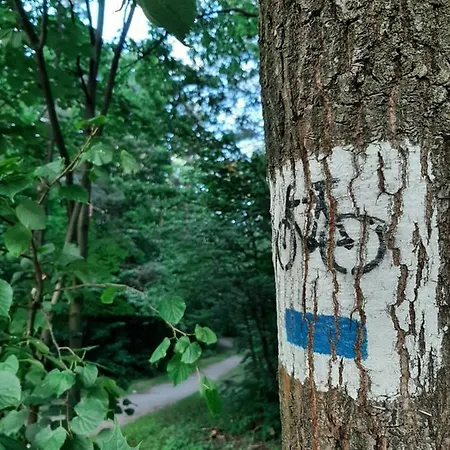 Lipowy Zakatek Apartmán *