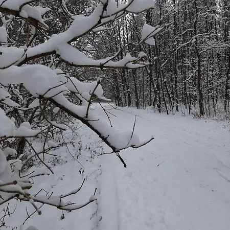 Lipowy Zakatek * Ustron