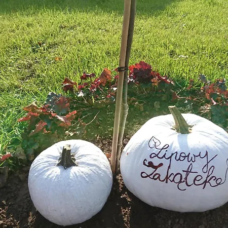 Lipowy Zakatek Apartment *