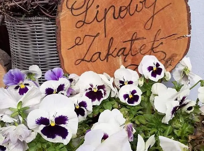 Apartman Lipowy Zakatek