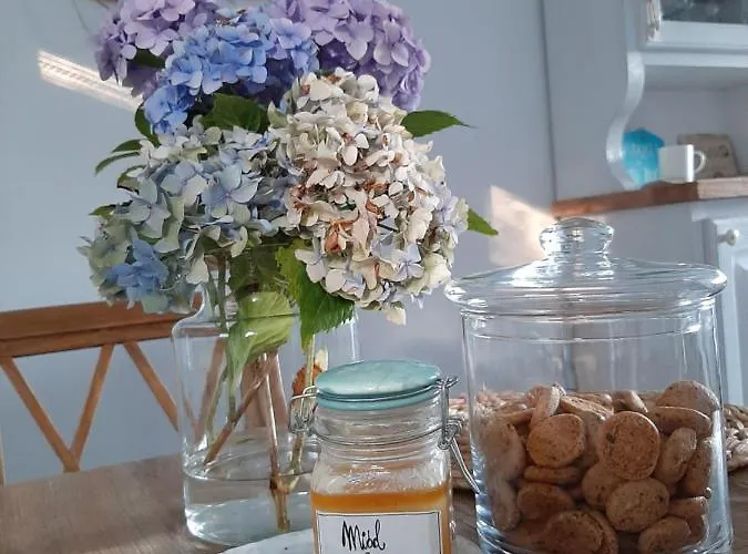 Lipowy Zakatek דירה