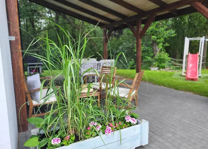 Lipowy Zakatek אוסטראון