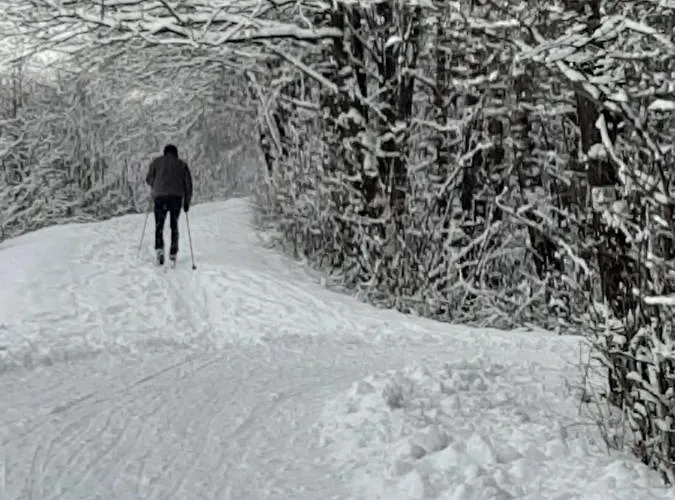 דירה Lipowy Zakatek *