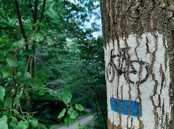 Lipowy Zakatek דירה *