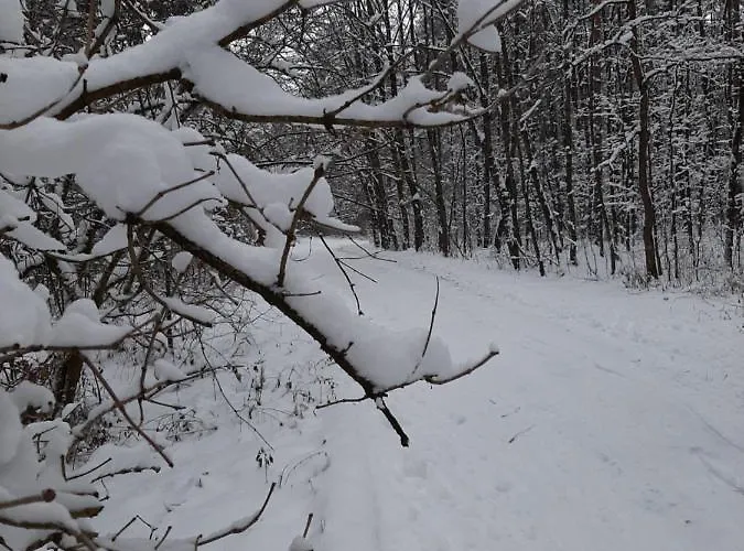 Lipowy Zakatek * Ustron